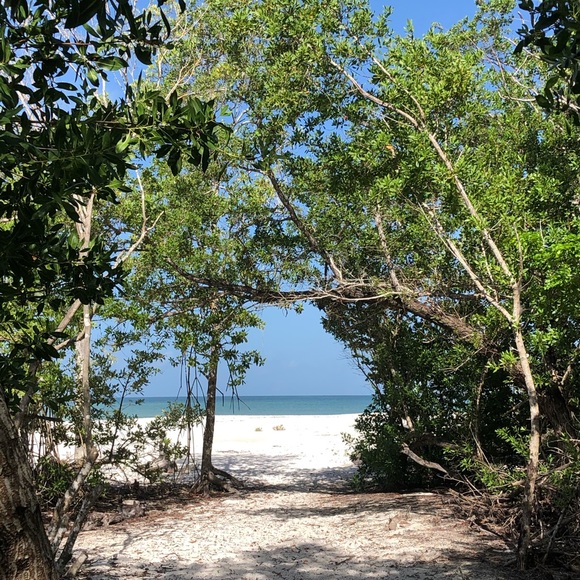 Meet your Posher, Michele - Picture 2 of 2